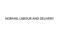 Labour &Delivery (1).pptx